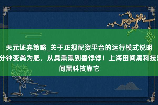 天元证券策略_关于正规配资平台的运行模式说明 10分钟变粪为肥，从臭熏熏到香饽饽！上海田间黑科技靠它