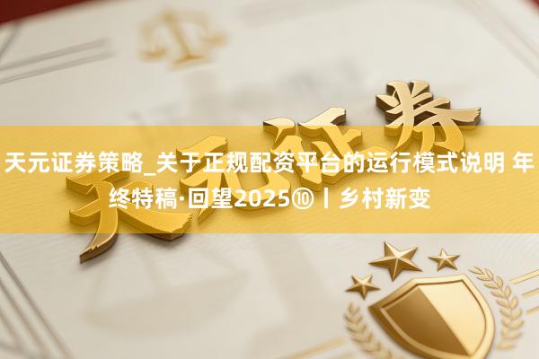 天元证券策略_关于正规配资平台的运行模式说明 年终特稿·回望2025⑩丨乡村新变