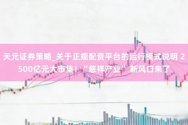 天元证券策略_关于正规配资平台的运行模式说明 2500亿元大市集！“慈祥产业” 新风口来了