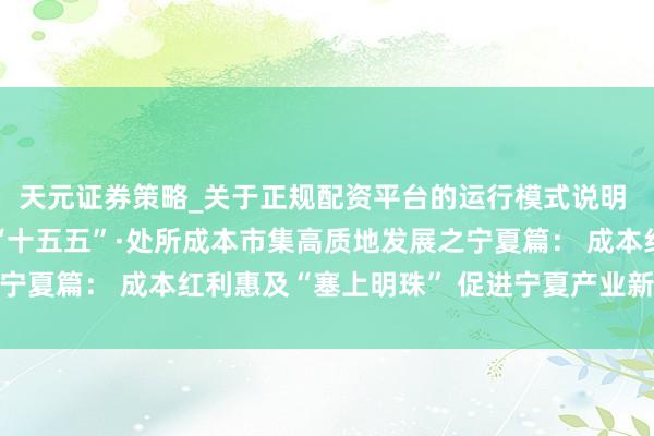天元证券策略_关于正规配资平台的运行模式说明 决胜“十四五” 擘划“十五五”·处所成本市集高质地发展之宁夏篇： 成本红利惠及“塞上明珠” 促进宁夏产业新旧动能调遣