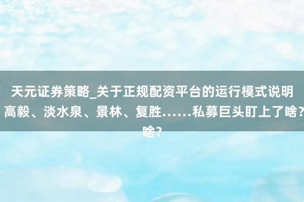 天元证券策略_关于正规配资平台的运行模式说明 高毅、淡水泉、景林、复胜……私募巨头盯上了啥?